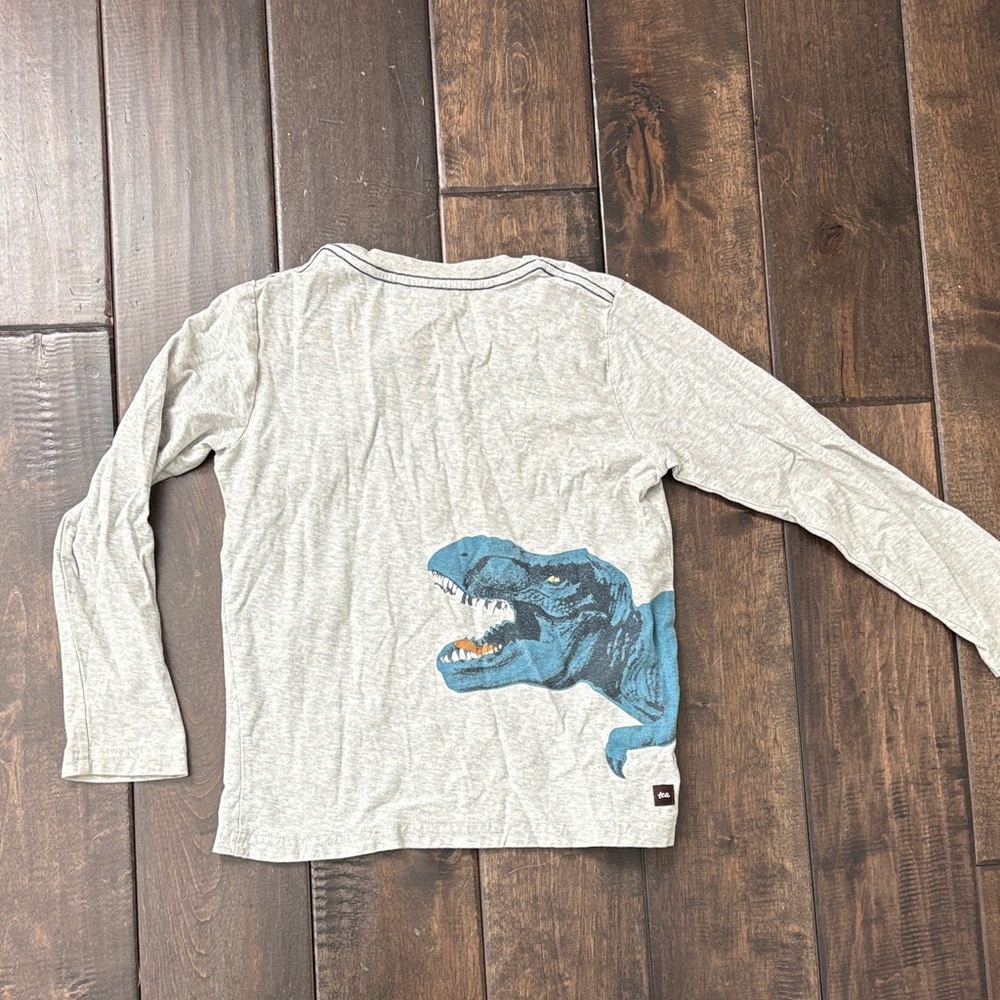 TEA COLLECTION Size 6 Boy Bundle Gray Crewneck, long sleeves, T shirt Dinosaurs - Picture 6 of 11